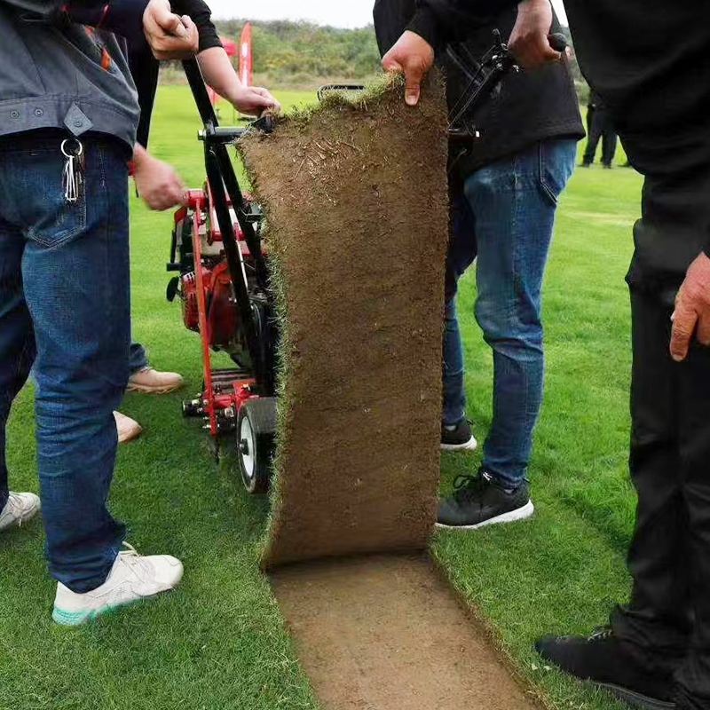 Walk-Behind Sod Cutter / Turf Harvester (Gasoline Powered, Auto-Cut, for Park Lawn Transplanting)