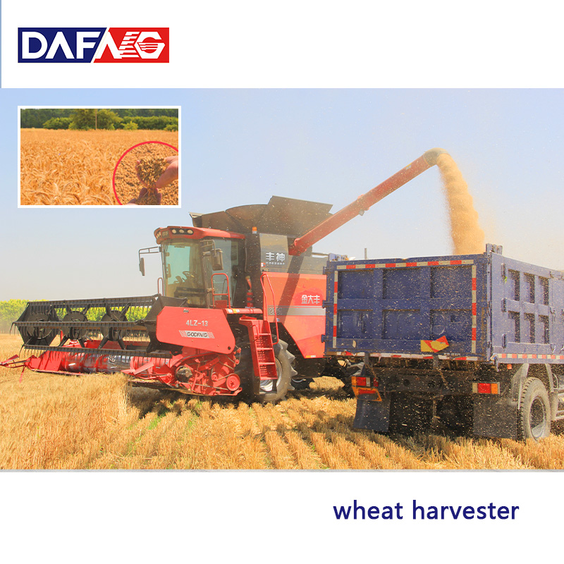 4LZ-13 Grain Combine Harvester | High Efficiency 13kg/s Feeding Capacity