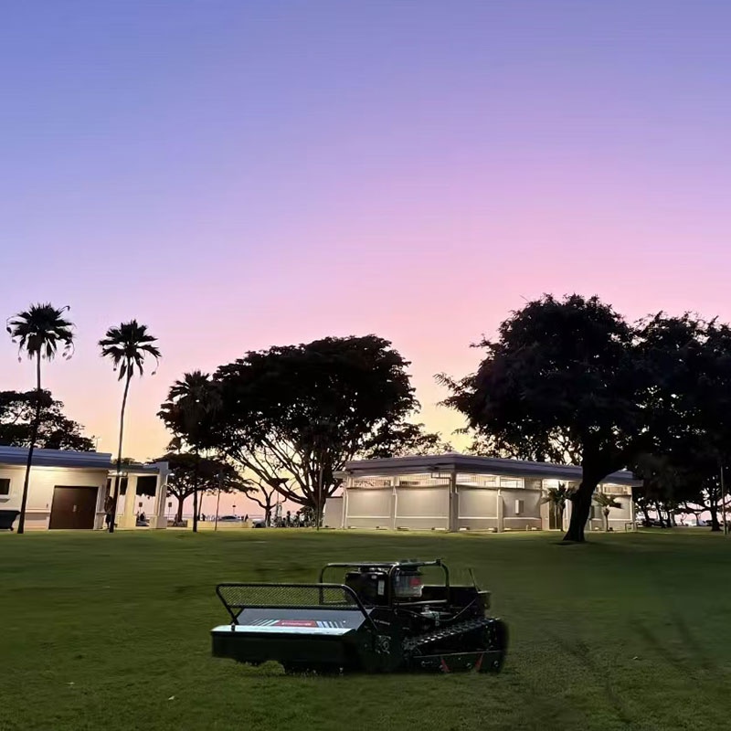 Industrial Grade 24V Remote-Controlled Excavator Lawn Mower 420cc Engine 1600W Flail Mower Forestry Mulcher for Farm Machines